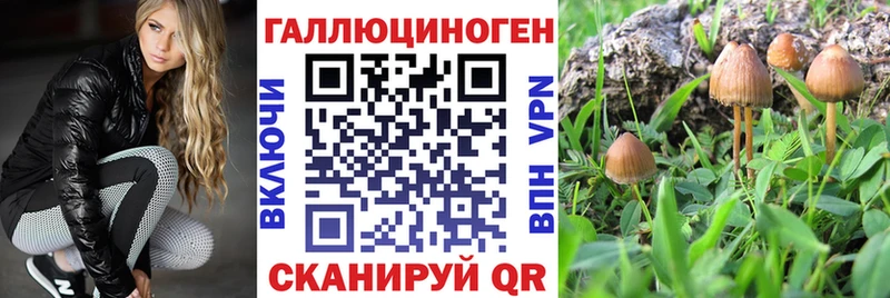 купить   Нальчик  Псилоцибиновые грибы GOLDEN TEACHER 