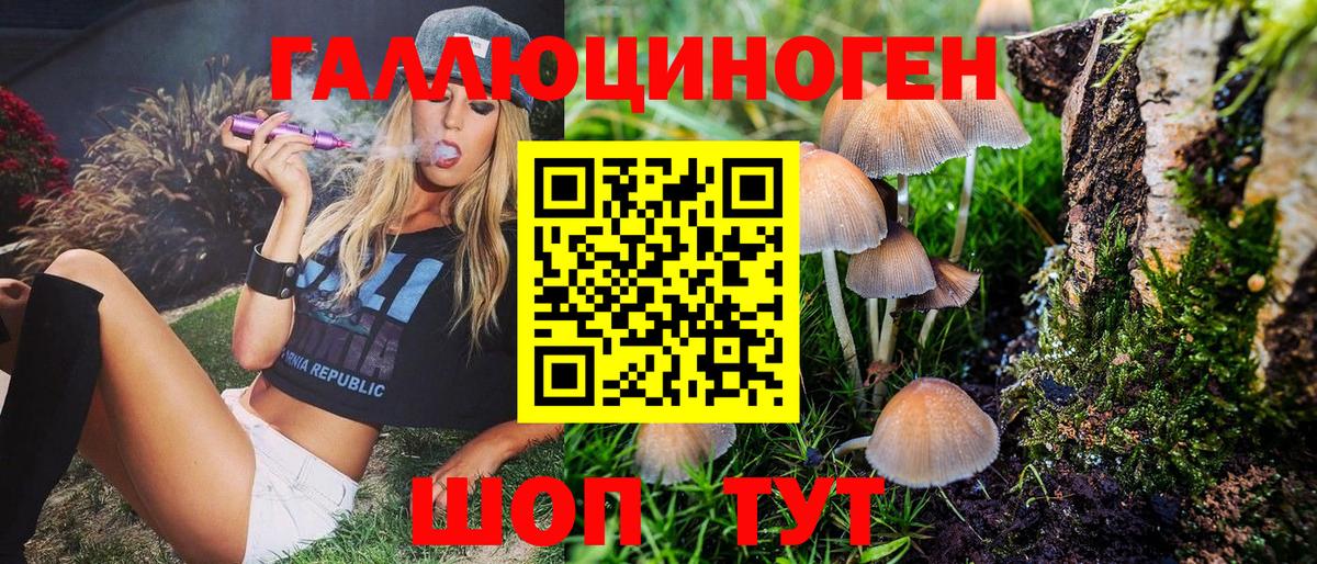 Галлюциногенные грибы MAGIC MUSHROOMS Нальчик