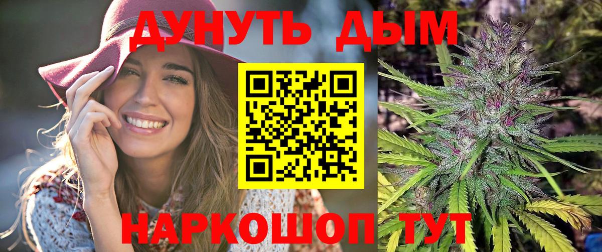 Бошки Шишки тримм  Вход с VPN  Марихуана Bruce Banner  Конопля план  Нальчик 